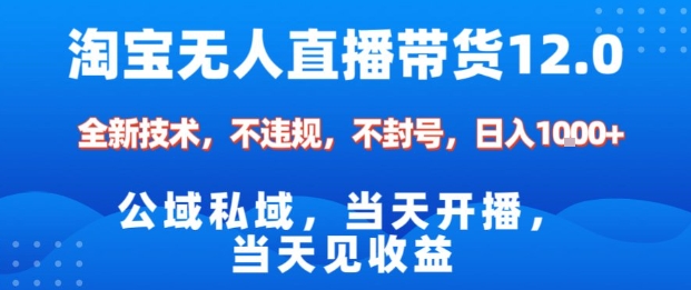 淘宝无人直播12.0，公域私域技术，不封号，不违规布局双十一流量风口，日入1k(独家技术)【揭秘】 - 来及网络