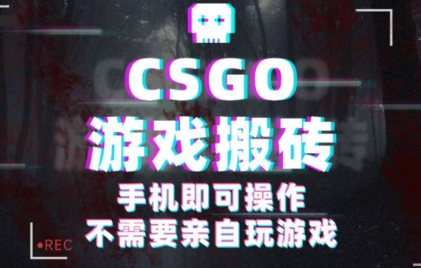 CSGO游戏挂机捡漏，单日扫货500+，年底小高峰上车可吃肉，手机即可操作兼职副业 - 来及网络