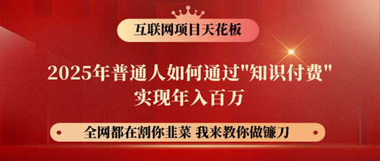 镰刀训练营超级IP合伙人，25年普通人如何通过“知识付费”年入百万！ - 来及网络
