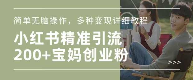 小红书混剪日引200+宝妈创业粉，简单无脑操作，多种变现详细教程 - 来及网络