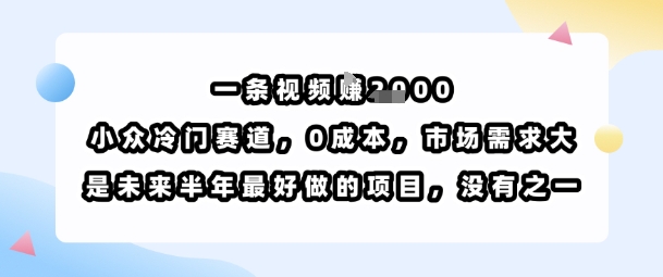 一条视频挣1k，小众冷门赛道，0成本，市场需求大，是未来半年最好做的项目，没有之一 - 来及网络