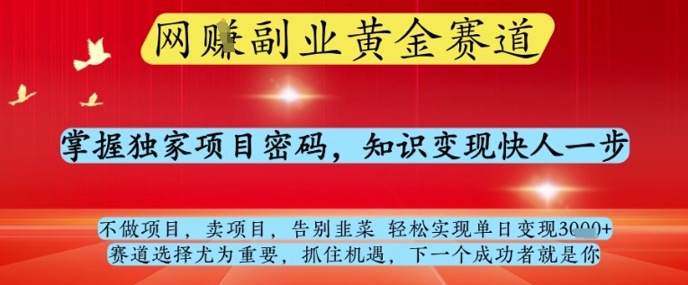 网创副业黄全赛道，掌握独家项目密码，知识变现快人一步，告别韭菜轻松实现单日变现1k+【揭秘】 - 来及网络