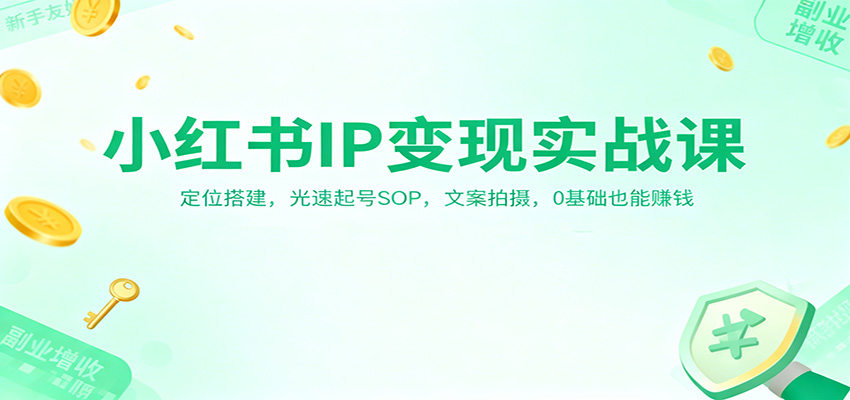 小红书IP变现实战课：定位搭建，光速起号SOP，文案拍摄，0基础也能赚钱 - 来及网络