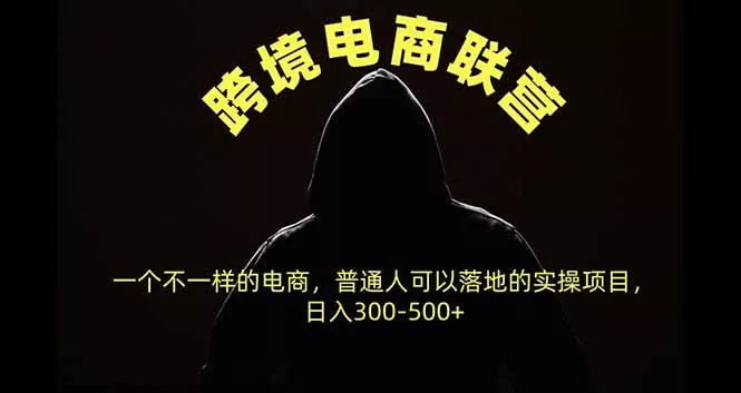 跨境电商联营，一个不一样的电商，普通人可操作日入300-500+ - 来及网络