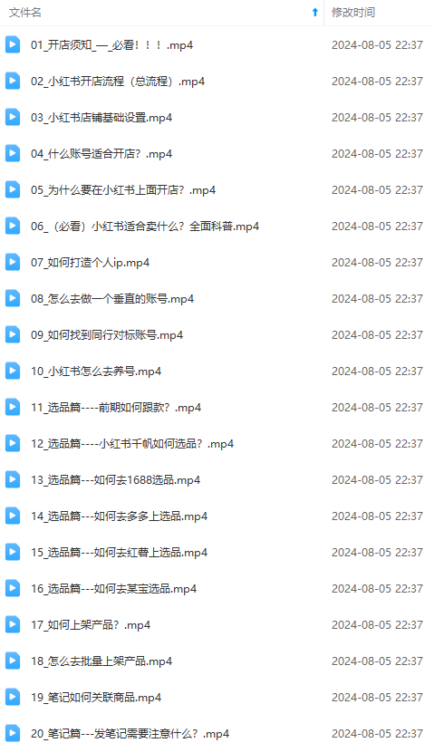 图片[1] - （12003期）2024小红书电商实战课：全体系打造 全方位梳理 小红书电商逻辑体系 (42节) - 来及网络