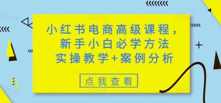 小红书电商高级课程，新手小白必学方法，实操教学+案例分析 - 来及网络