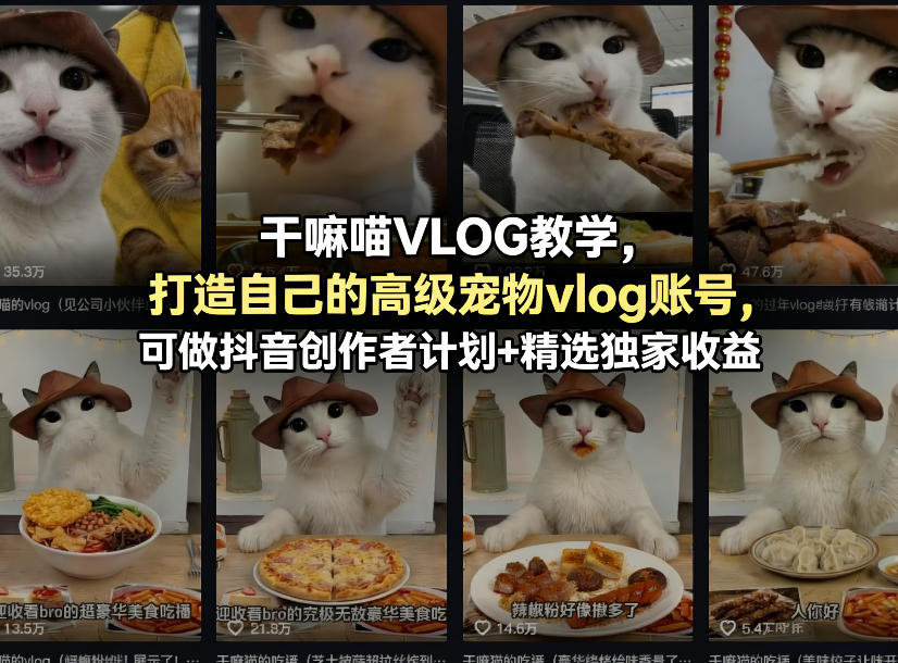 干嘛喵VLOG教学，打造自己的高级宠物vlog账号，可做抖音创作者计划+精选独家收益 - 来及网络