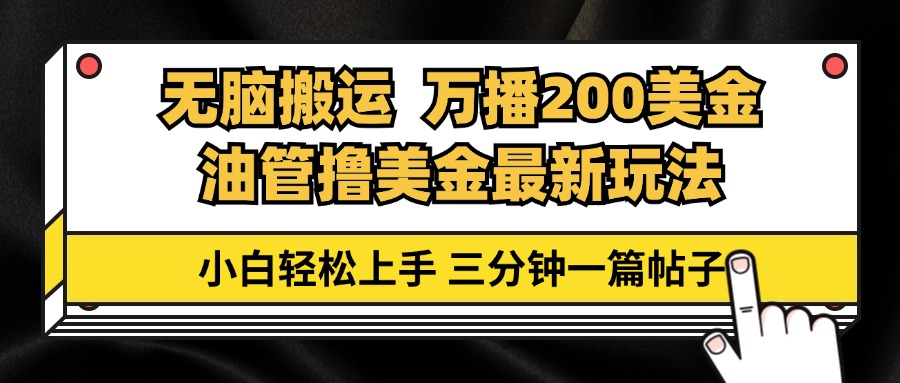 （13050期）油管无脑搬运撸美金玩法教学，万播200刀，三分钟一篇帖子，小白轻松上手 - 来及网络
