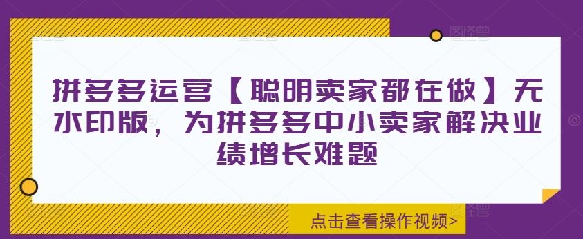 拼多多运营【聪明卖家都在做】无水印版，为拼多多中小卖家解决业绩增长难题 - 来及网络