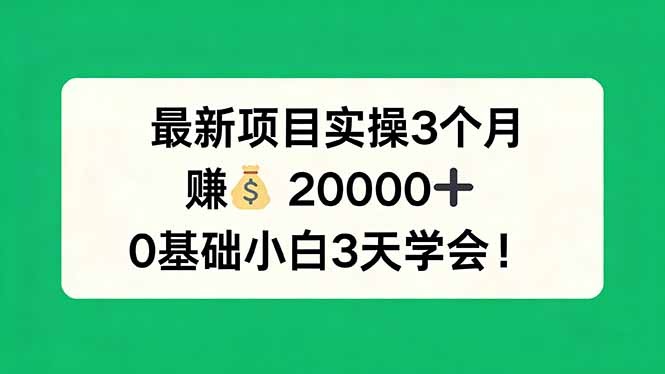 最新项目实操3个月，赚钱20000+，0基础小白3天学会！ - 来及网络