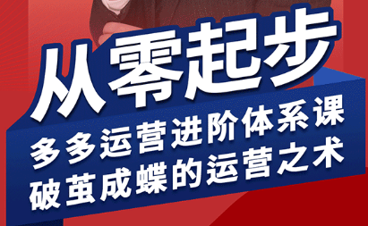 海神·拼多多运营进阶系统课(更新2026) - 来及网络