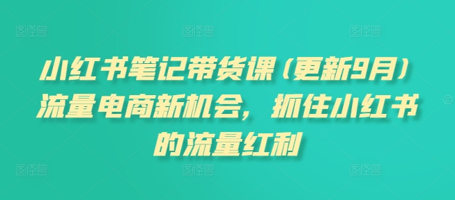 小红书笔记带货课(更新25年6月)流量电商新机会，抓住小红书的流量红利 - 来及网络