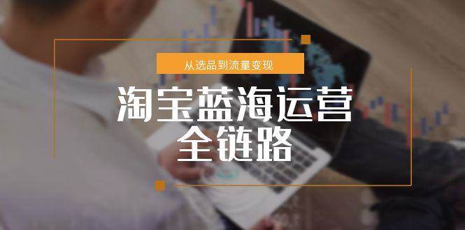（15160期）淘宝蓝海运营全链路，从选品到流量变现，小类目突围完整方案 - 来及网络