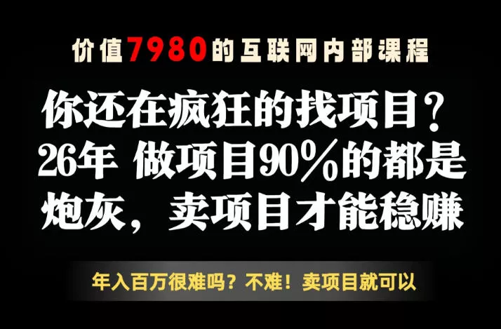 26年请不要疯狂的找项目了，卖项目远比你想象的暴利，你也可以月入10W+【揭秘】 - 来及网络