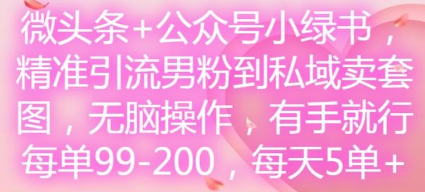 微头条+公众号小绿书，精准引流男粉到私域卖套图，无脑操作，有手就行，每单99-200，每天5单 - 来及网络