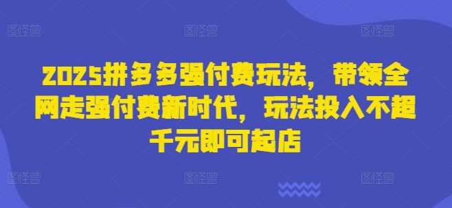 2025拼多多强付费玩法，带领全网走强付费新时代，玩法投入不超千元即可起店 - 来及网络