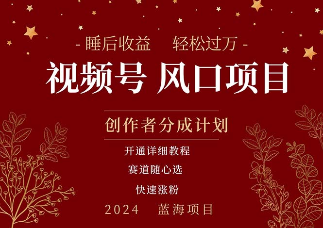 （11331期）拥有睡眠收益的微信视频号大风口项目，轻松月入过万+，多赛道选择，可… - 来及网络