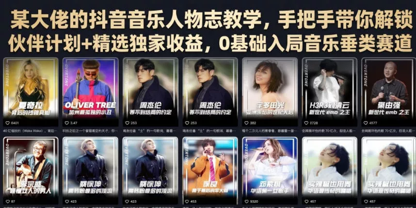 某大佬的抖音音乐人物志教学，手把手带你解锁伙伴计划+精选独家收益，0基础入局音乐垂类赛道 - 来及网络