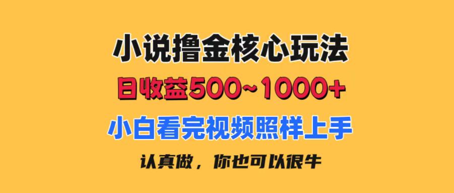 （11461期）小说撸金核心玩法，日收益500-1000+，小白看完照样上手，0成本有手就行 - 来及网络