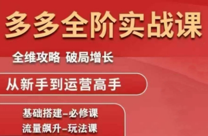 大炮·拼多多全阶实战课程(更新10月) - 来及网络