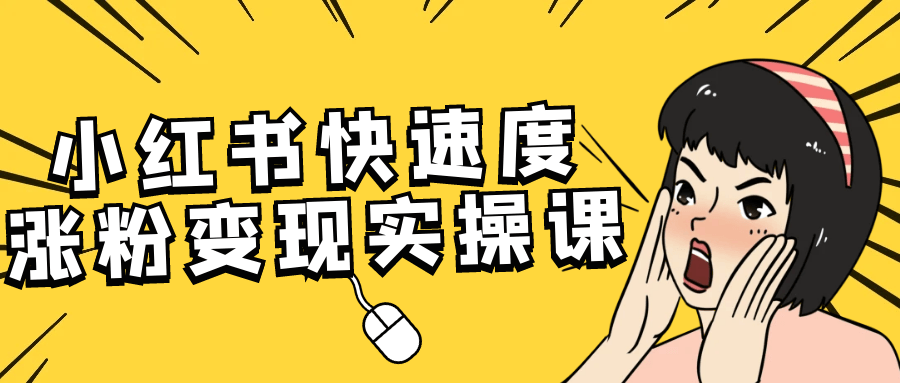 小红书快速度涨粉变现实操课 - 来及网络