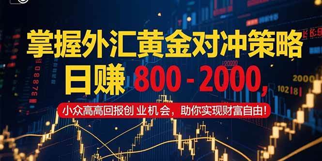 （15198期）掌握外汇黄金对冲策略，日赚 800 – 2000，小众高回报创业机会，助你实… - 来及网络