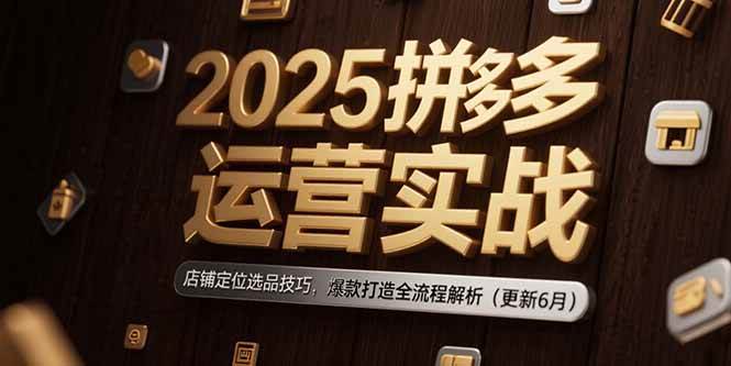 （15235期）2025拼多多运营实战：店铺定位选品技巧，爆款打造全流程解析（更新6月） - 来及网络