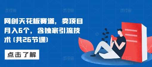 网创天花板赛道，卖项目月入6个，含独家引流技术(共26节课) - 来及网络