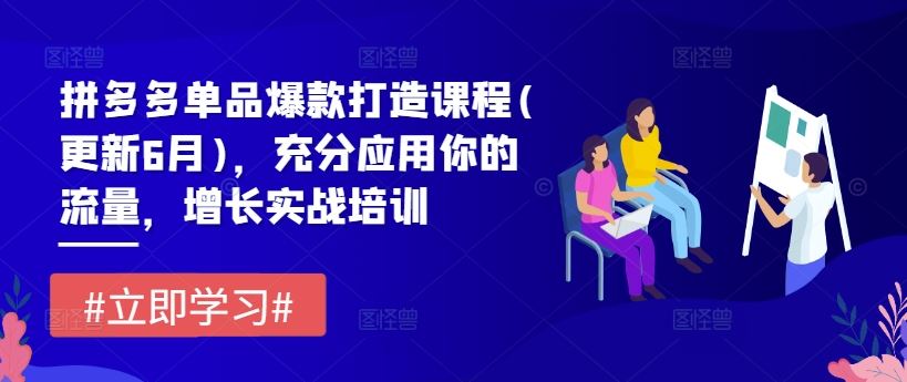 拼多多单品爆款打造课程(更新6月)，充分应用你的流量，增长实战培训 - 来及网络