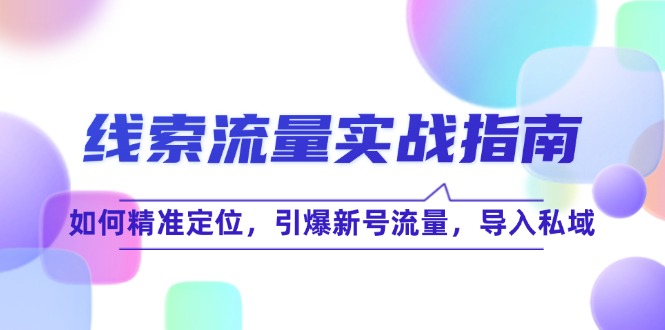 （12382期）线 索 流 量-实战指南：如何精准定位，引爆新号流量，导入私域 - 来及网络