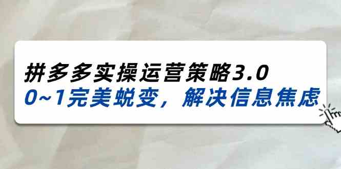 2024-2025拼多多实操运营策略3.0，0~1完美蜕变，解决信息焦虑（38节） - 来及网络