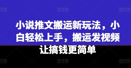 小说推文搬运新玩法，小白轻松上手，搬运发视频让搞钱更简单 - 来及网络