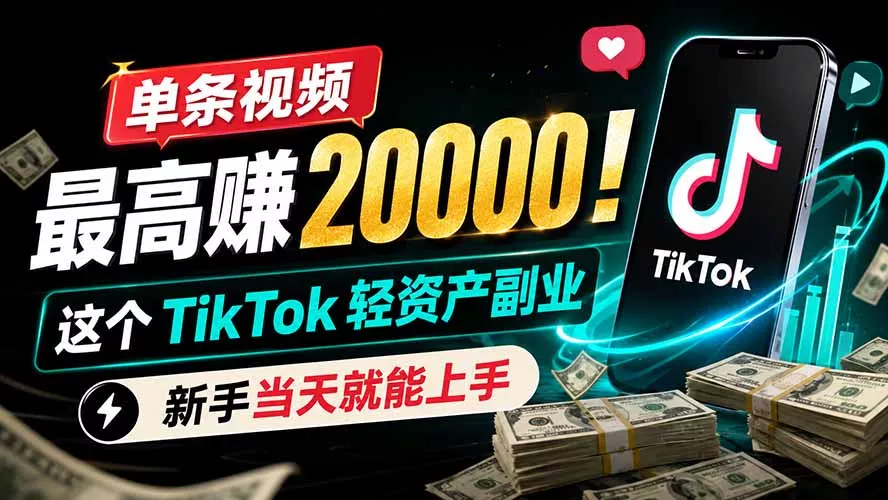 单条视频最高赚 20000！这个 TikTok 轻资产副业，新手当天就能上手 - 来及网络