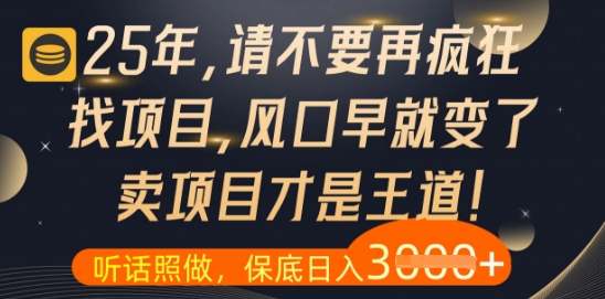 什么？25年你还在疯狂找项目做，醒醒吧，看完这些你全都懂了【揭秘】 - 来及网络