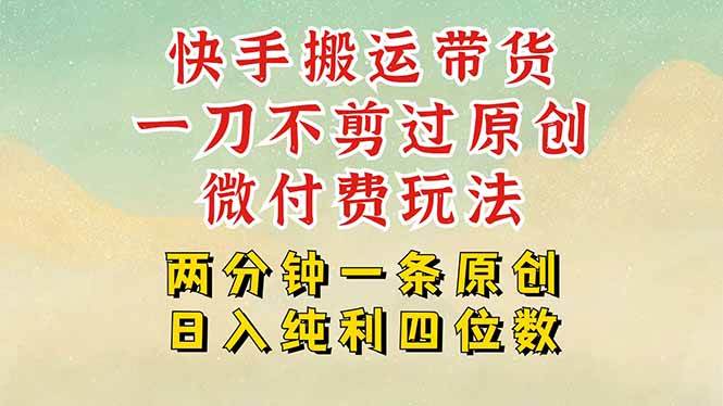（15577期）快手黑科技搬运带货，一刀不剪过原创，微付费投流玩法，轻松日入四位数… - 来及网络