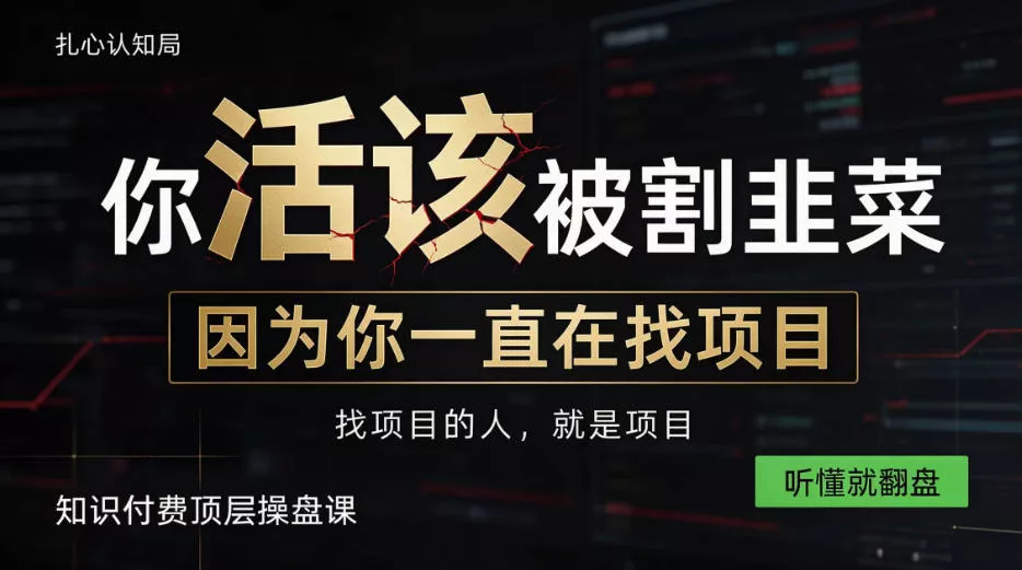 做项目不如卖项目，做知识付费自己当老板，知识付费顶层操盘课，听懂就翻盘【揭秘】 - 来及网络