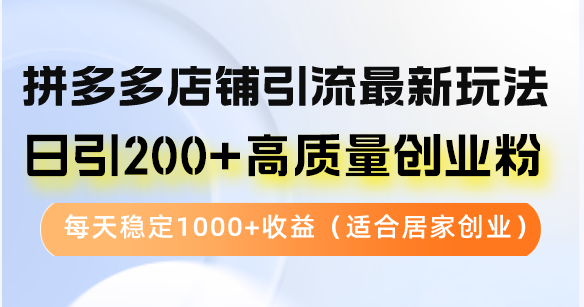 （12893期）拼多多店铺引流最新玩法，日引200+高质量创业粉，每天稳定1000+收益（… - 来及网络