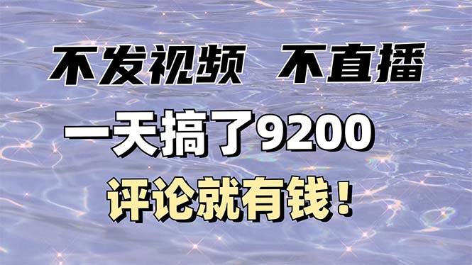 （14018期）不发作品不直播，评论就有钱，一条最高10块，一天搞了9200 - 来及网络