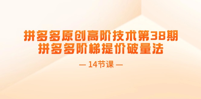 （11704期）拼多多原创高阶技术第38期，拼多多阶梯提价破量法（14节课） - 来及网络