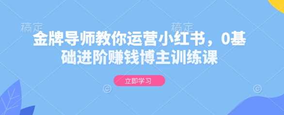 金牌导师教你运营小红书，0基础进阶赚钱博主训练课 - 来及网络