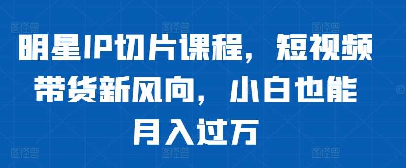 明星IP切片课程，短视频带货新风向，小白也能月入过万 - 来及网络