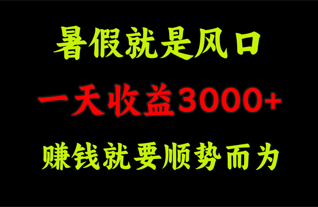 （11690期）一天收益3000+ 赚钱就是顺势而为，暑假就是风口 - 来及网络