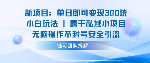 新项目单日即可变现3张的小白玩法无脑操作不封号安全引流 - 来及网络