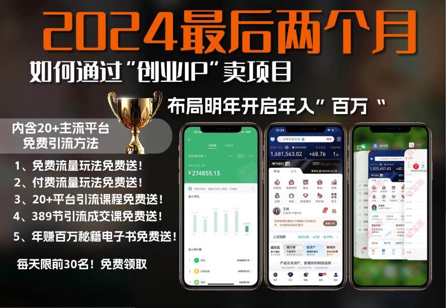 （13322期）2024最后两个月如何通过”创业IP“卖项目年入”百万“,创业IP+最强引流… - 来及网络